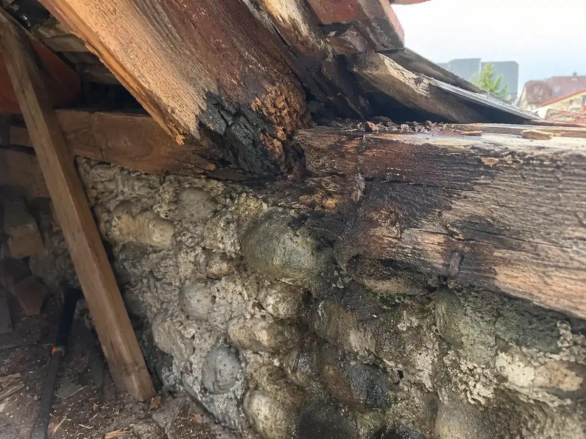 Sablière et abouts de chevrons noircis et spongieux en pied de versant, au-dessus d'un mur en galets